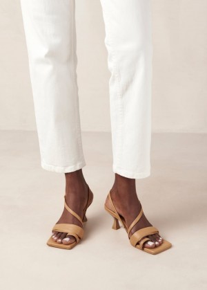 Alohas Asymmetric Straps Cuero Mules Marrom | RTCFO5091