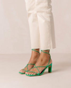 Alohas Bellini Cuero Sandals Verdes | MNYHX2047