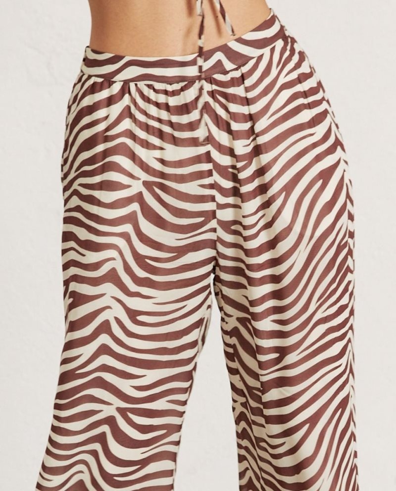 Alohas Cliffhanger Safari Pants Marrom | BVSGJ3749