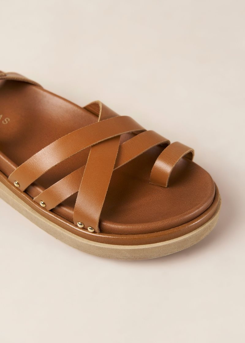 Alohas Hebilla Up Cuero Sandals Marrom | CESAP6517