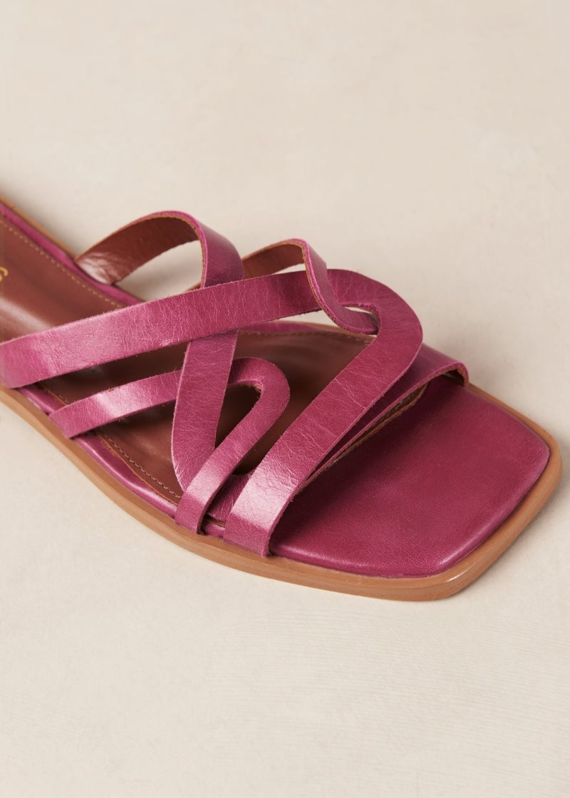 Alohas Pad Cuero Sandals Magenta | DEMRO0514