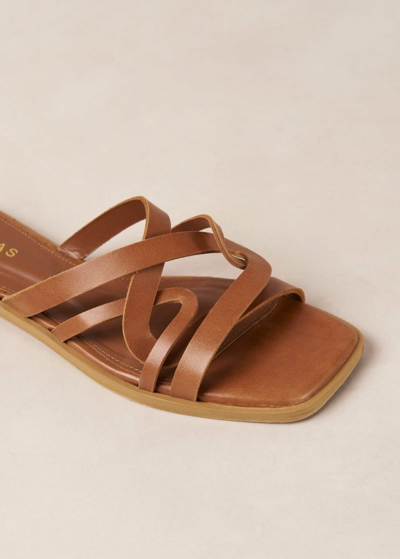 Alohas Pad Cuero Sandals Marrom | ANSVK5062