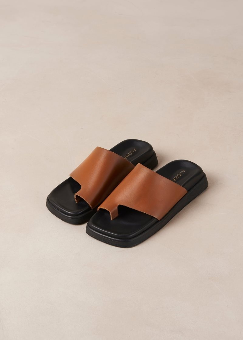 Alohas Puntera Ring Flop Cuero Sandals Marrom | TZMLR3560